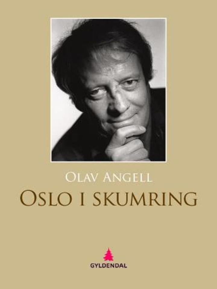 Oslo i skumring