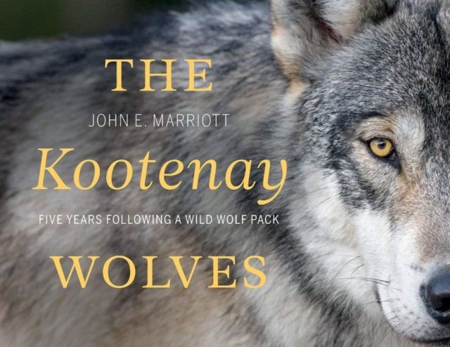 The Kootenay Wolves