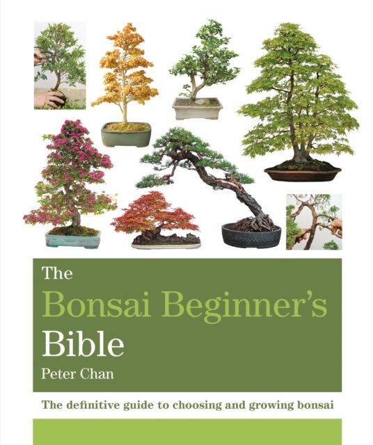 The Bonsai Beginner''s Bible