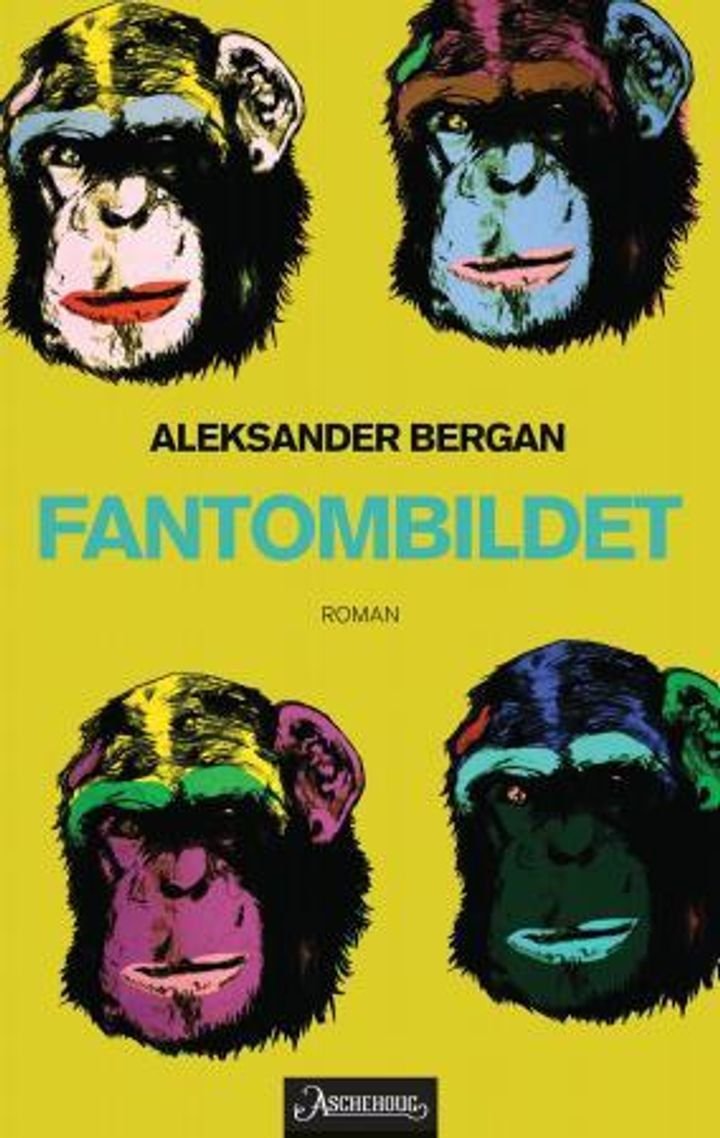 Fantombildet - roman