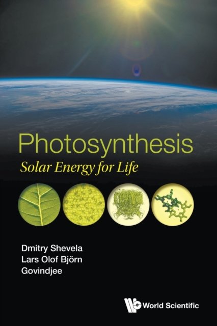 PHOTOSYNTHESIS