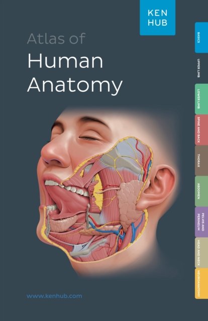 THIEME Atlas of Anatomy, Three Volume Set, Fourth Edition | Erik