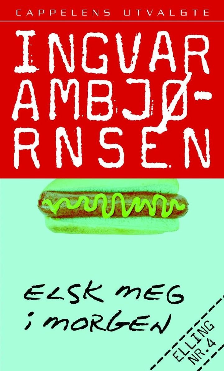 Elsk meg i morgen - roman