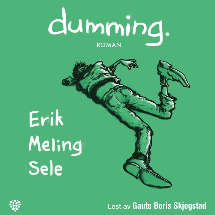 Dumming - roman