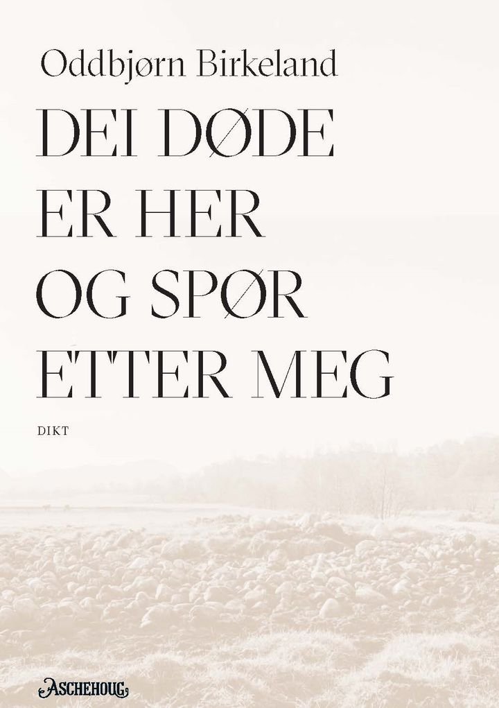 Dei døde er her og spør etter meg - dikt