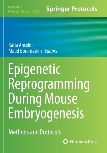 Epigenetic Reprogramming During Mouse Embryogenesis