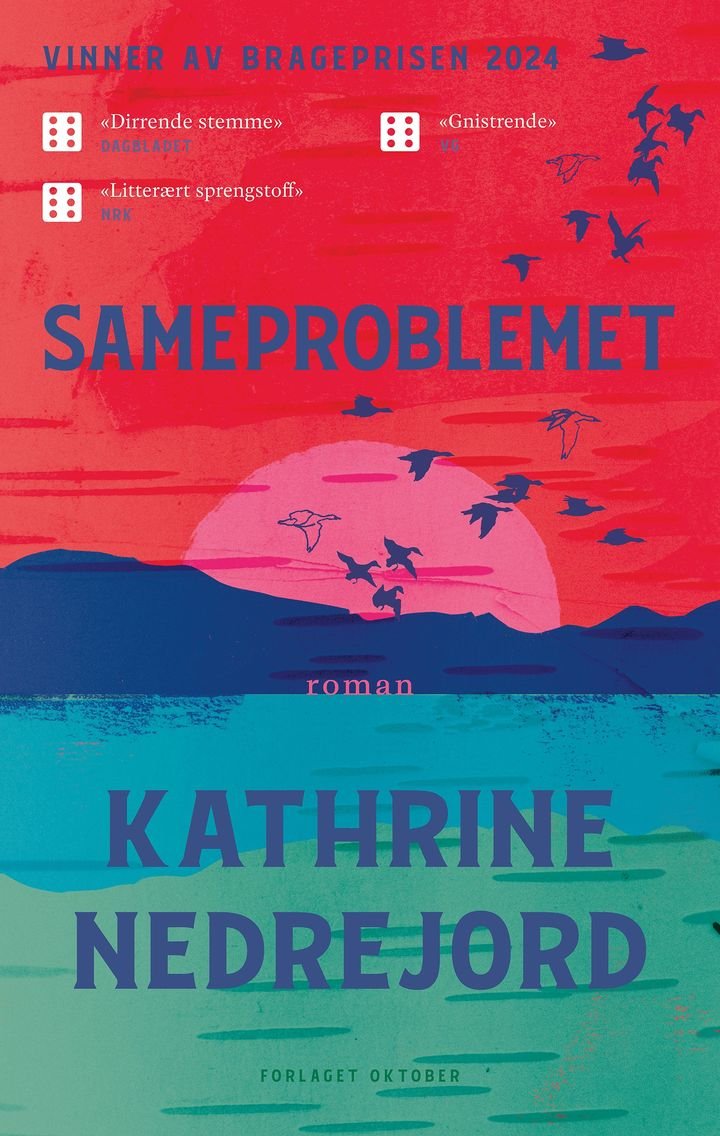 Sameproblemet - roman