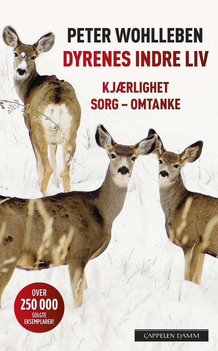 Dyrenes indre liv - kjærlighet, sorg, omtanke