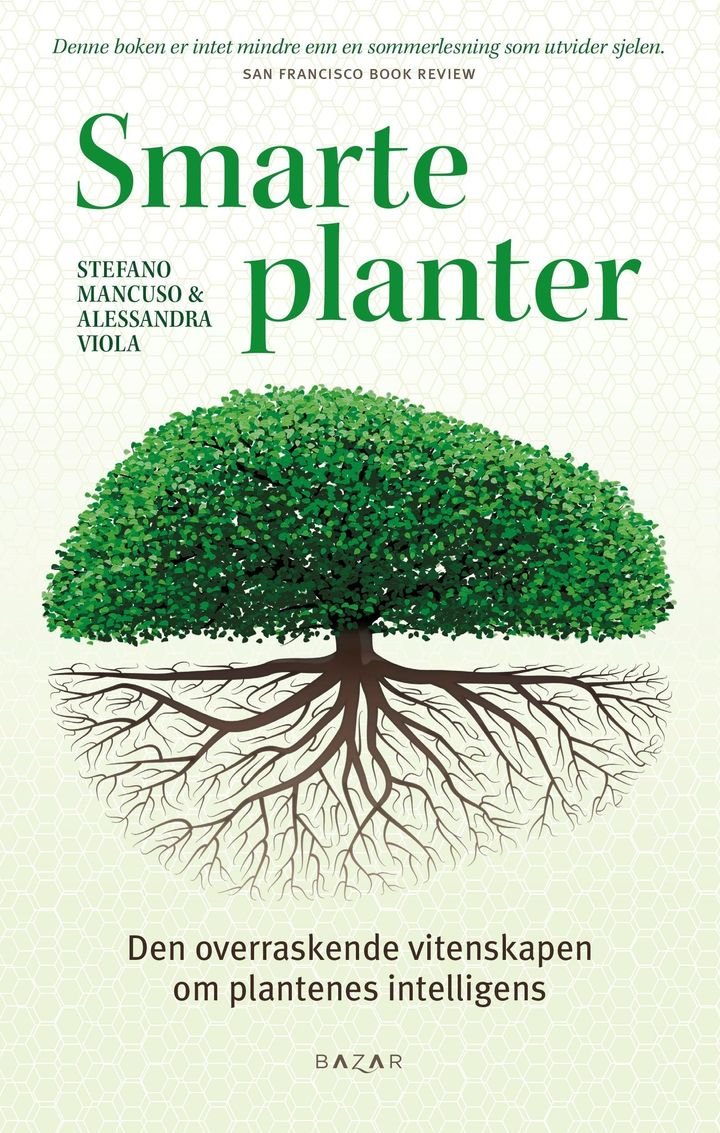 Smarte planter - den overraskende vitenskapen om plantenes intelligens