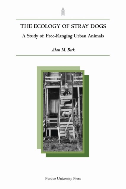 The Ecology of Stray Dogs