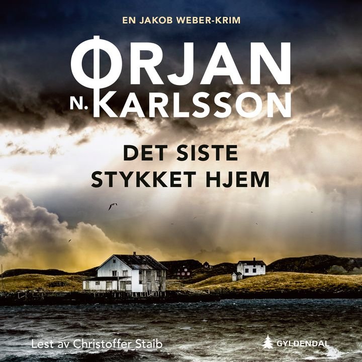 Det siste stykket hjem - kriminalroman