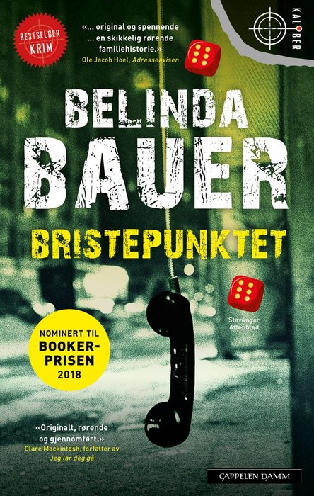 Bristepunktet