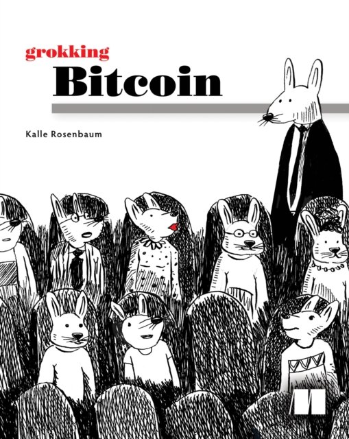 Grokking Bitcoin