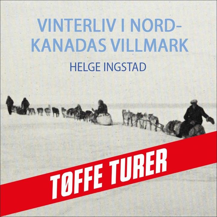 Vinterliv i Nord-Kanadas villmark