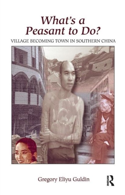 What''s A Peasant To Do? Village Becoming Town In Southern China