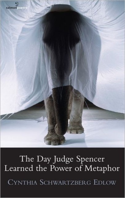 Day Judge Spencer Learned the Power of Metaphor