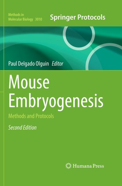 Mouse Embryogenesis