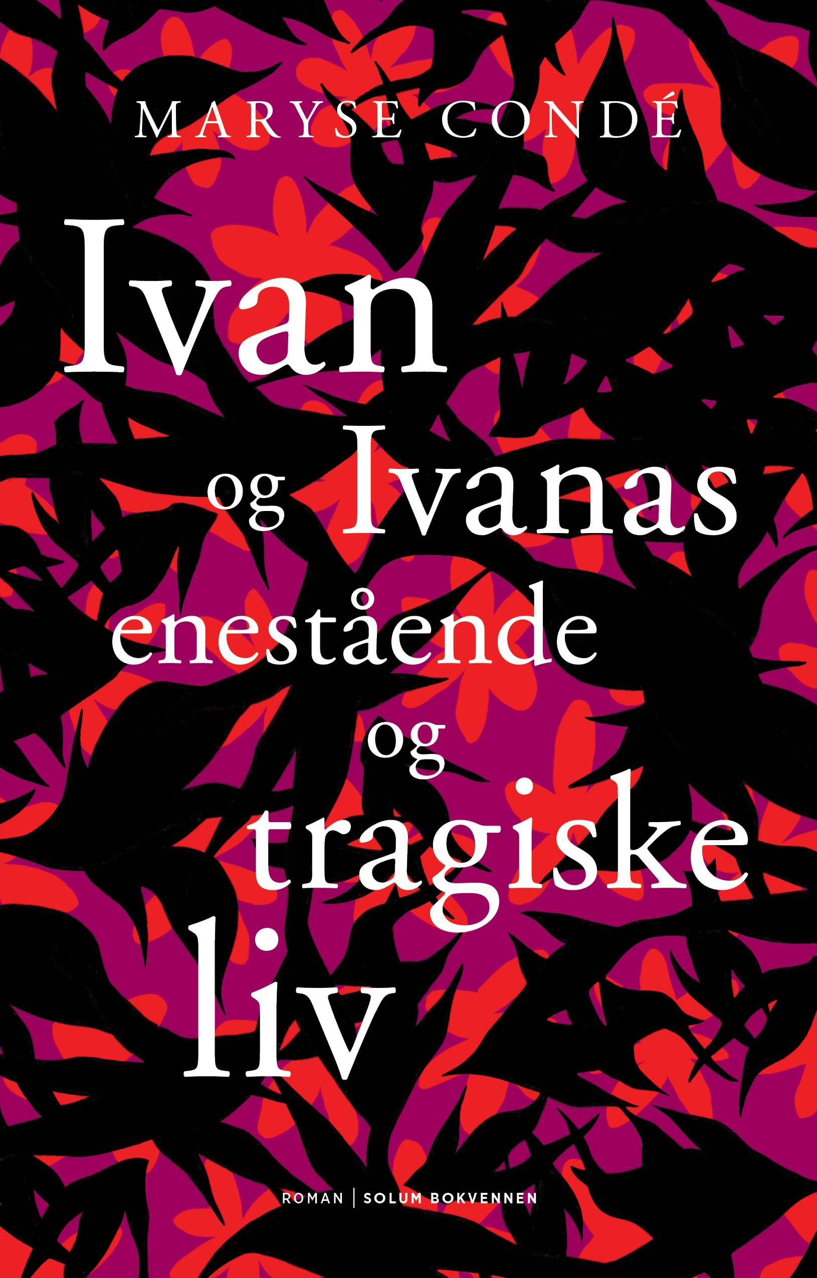 Ivan og Ivanas enestående og tragiske liv - roman