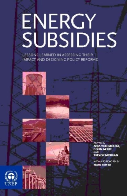 Energy Subsidies