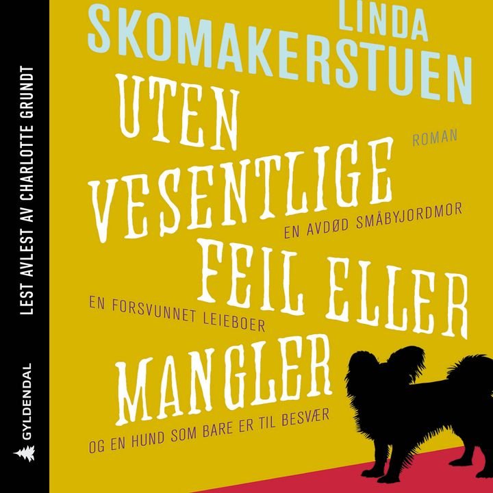 Uten vesentlige feil eller mangler - roman