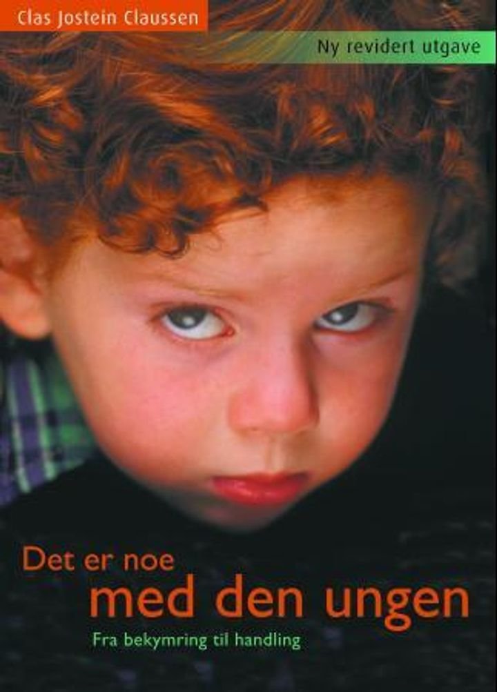 Det er noe med den ungen - fra bekymring til handling