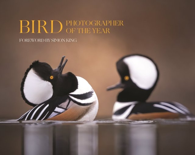 Bird Photographer of the Year – Collection 9
