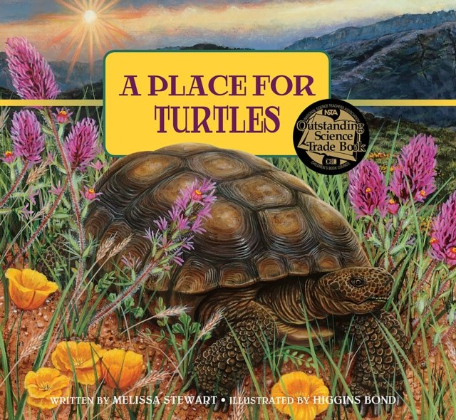 A Place for Turtles