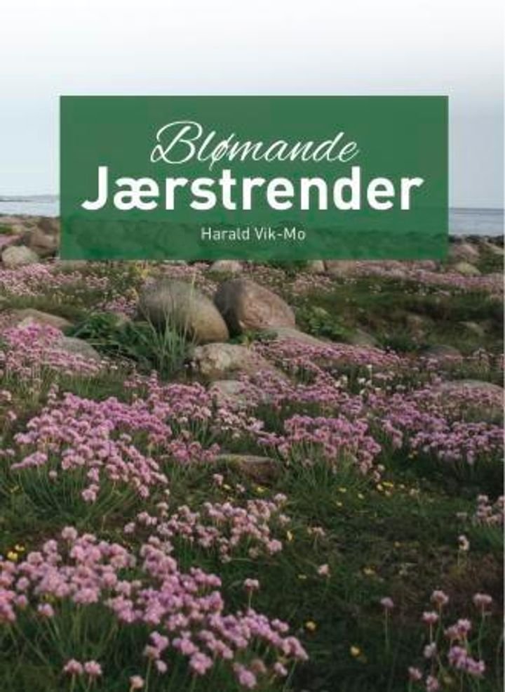 Blømande Jærstrender