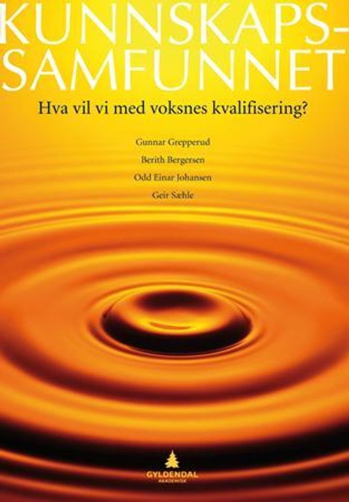 Kunnskapssamfunnet - hva vil vi med voksnes kvalifisering?