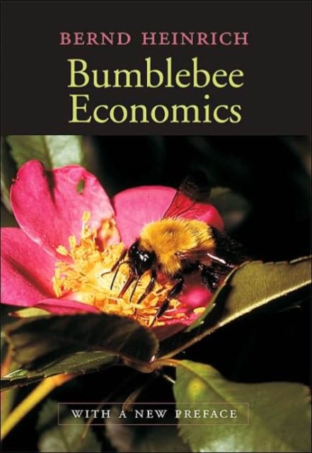 Bumblebee Economics – With a New Preface