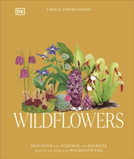 Wildflowers