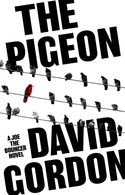 Pigeon