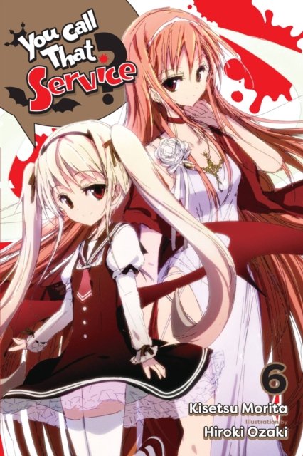 You Call That Service? Light Novel 6