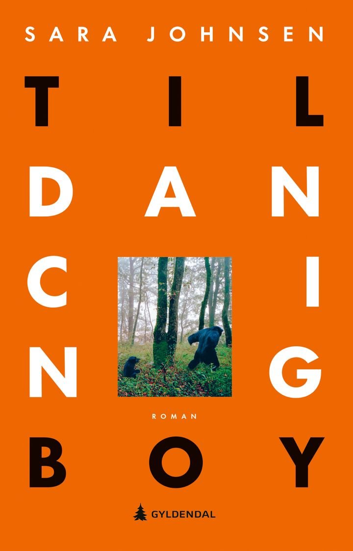 Til dancing boy - roman