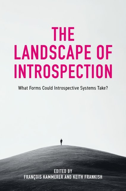 The Landscape of Introspection