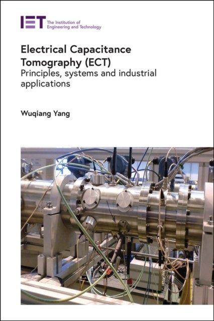 Electrical Capacitance Tomography (ECT)