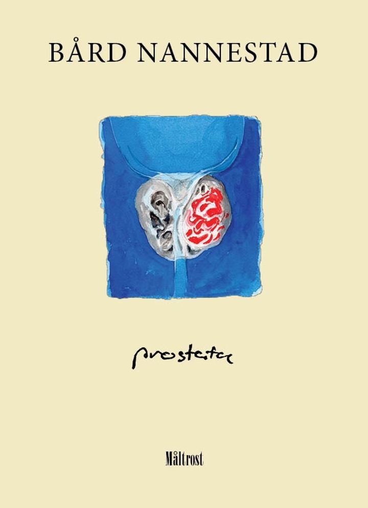 Prostata - roman