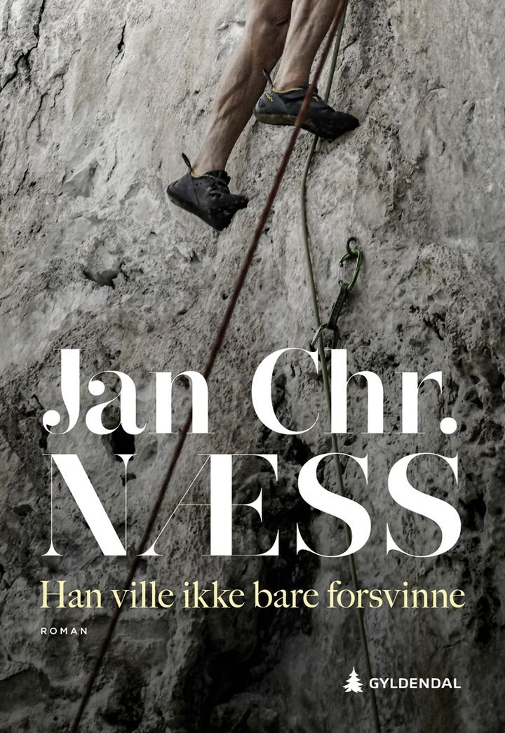 Han ville ikke bare forsvinne - roman