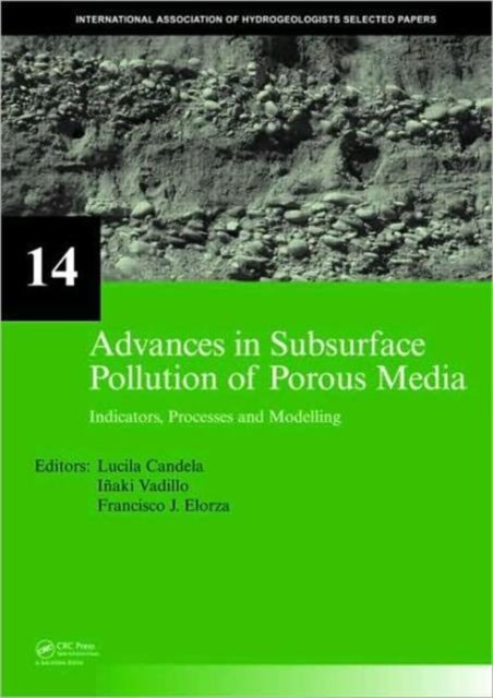 Advances in Subsurface Pollution of Porous Media