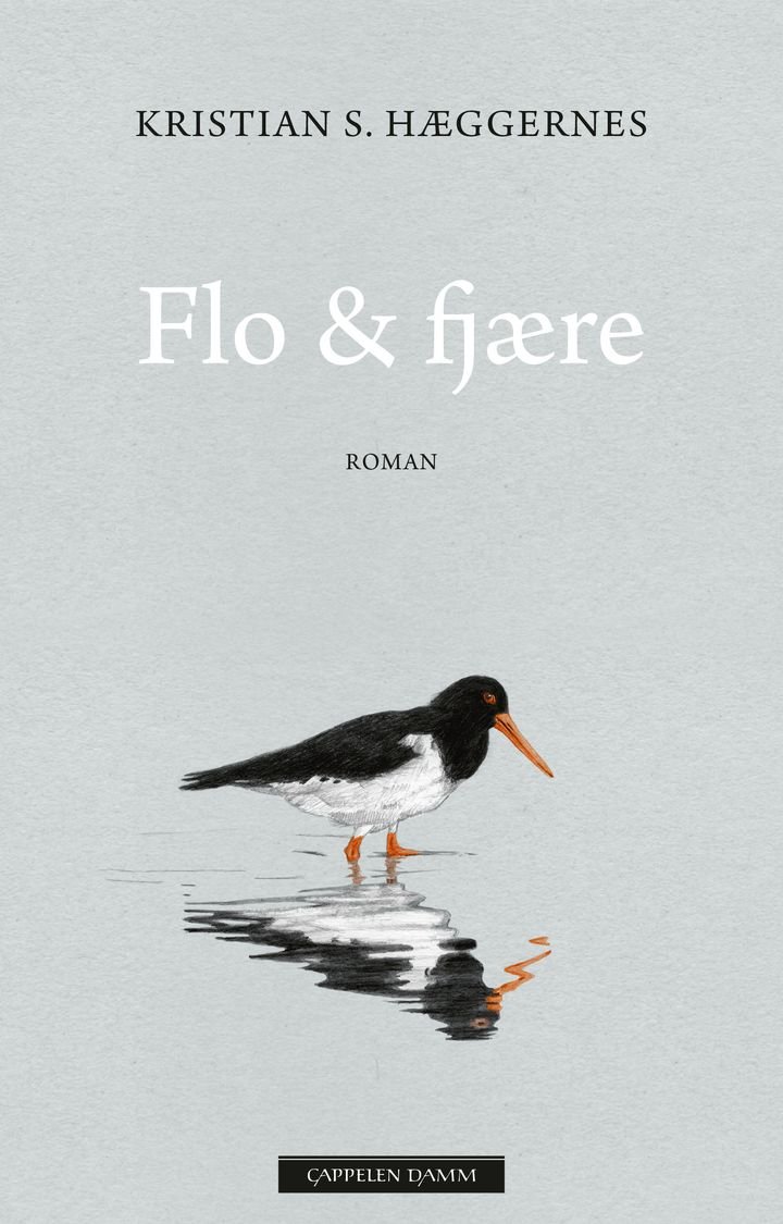 Flo & fjære - roman
