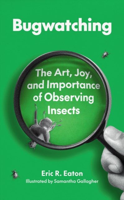 Bugwatching – The Art, Joy, and Importance of Observing Insects