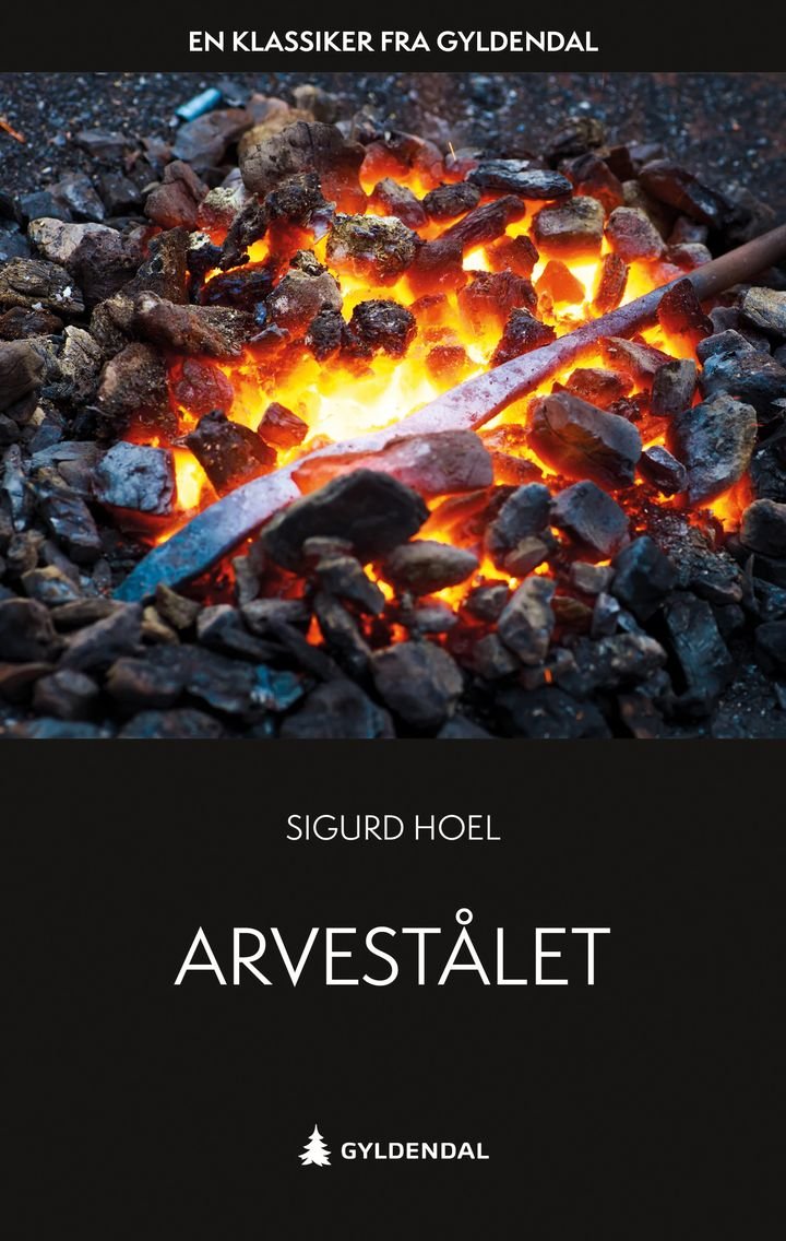 Arvestålet - fortellingen om Håvard Gjermundsson Viland : ungdommen