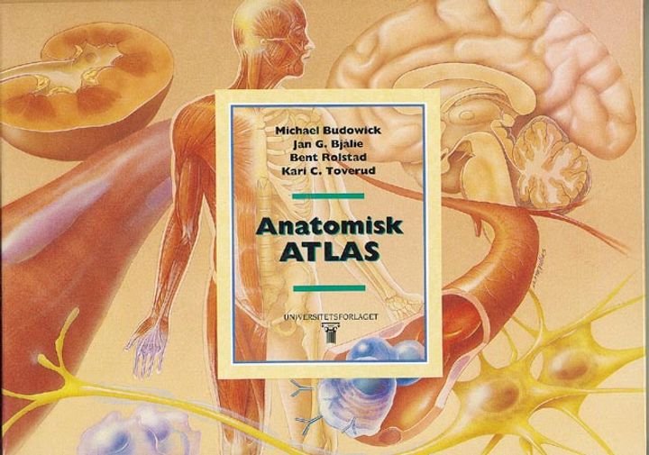 Anatomisk atlas