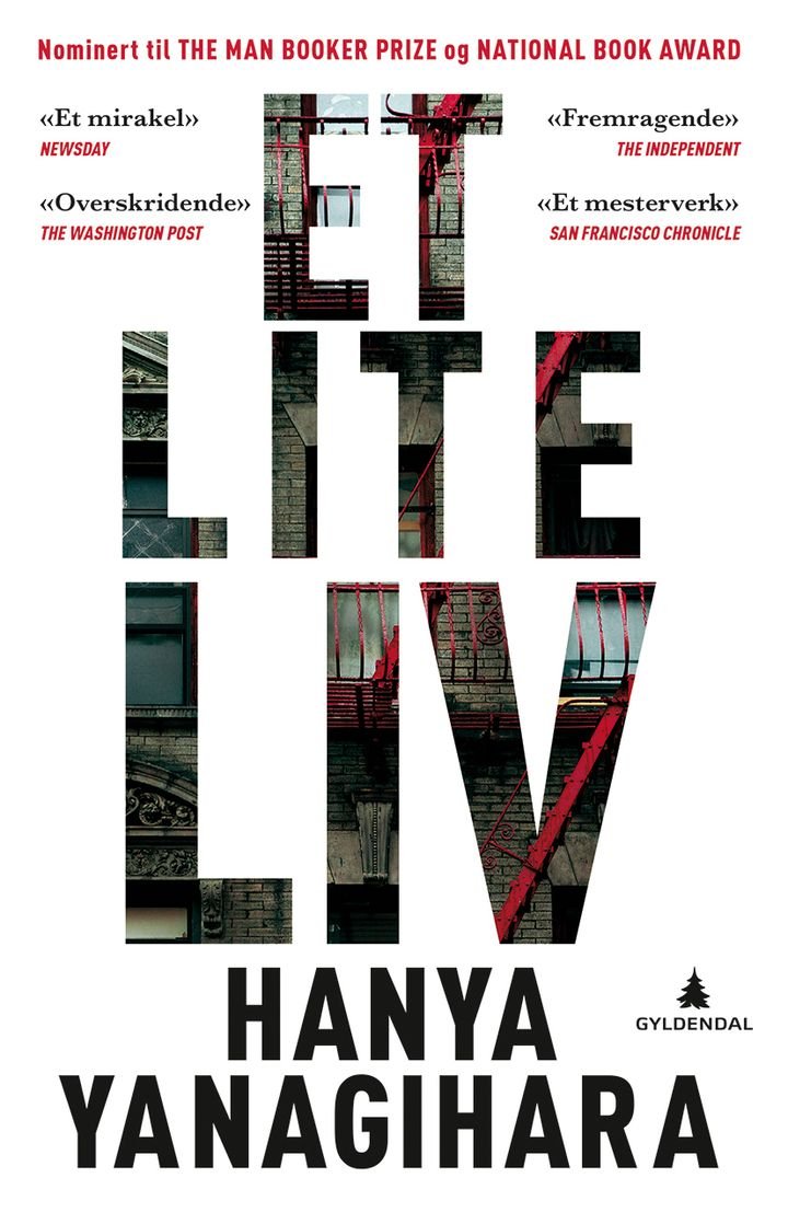 Et lite liv - roman