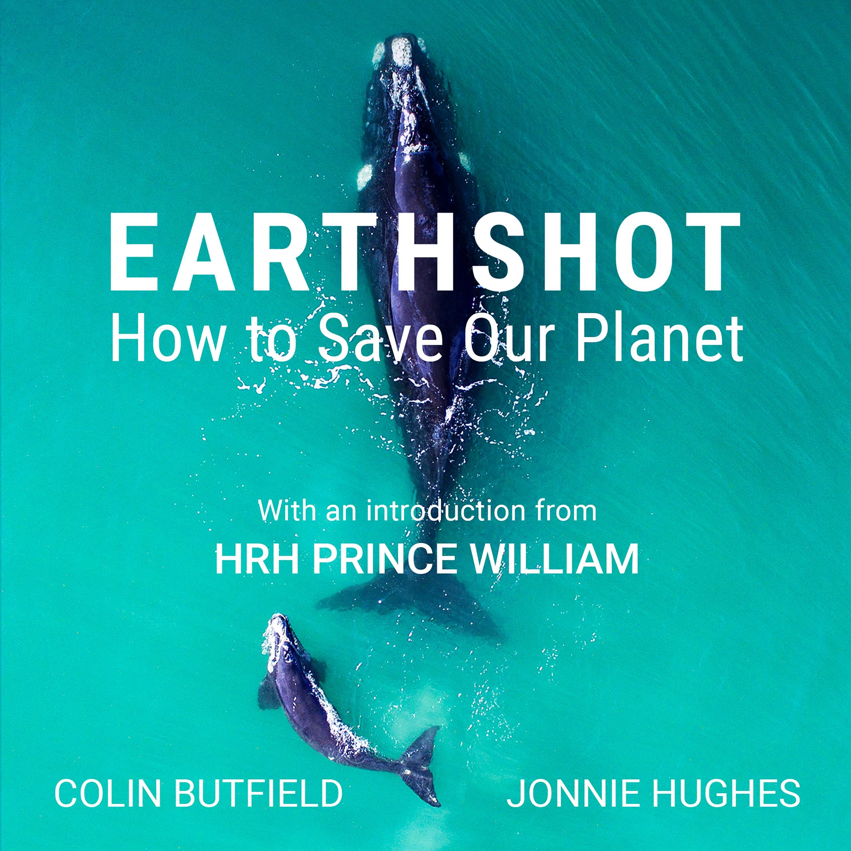 Earthshot