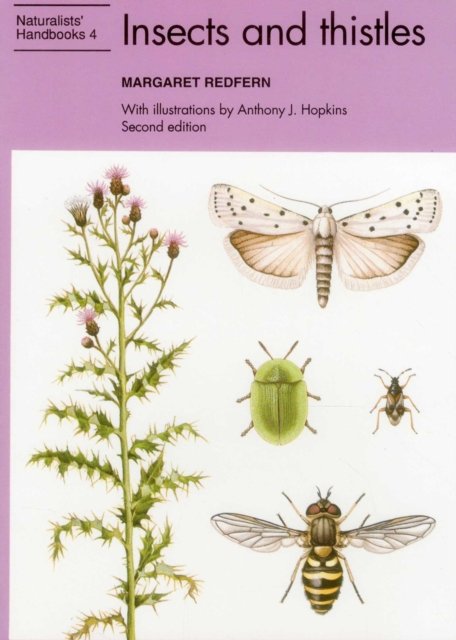 Insects and thistles