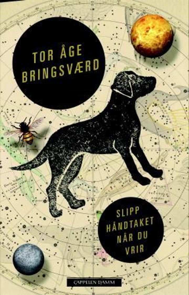 Slipp håndtaket når du vrir - roman