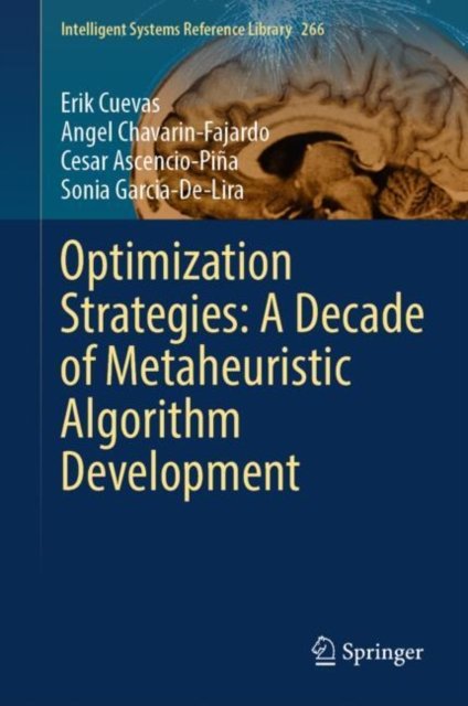 Optimization Strategies