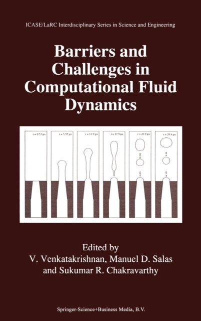 Barriers and Challenges in Computational Fluid Dynamics