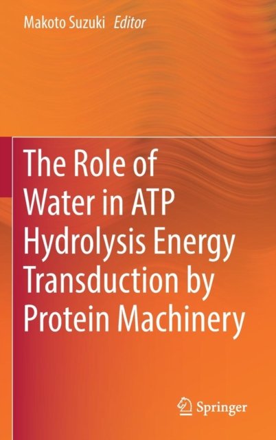 The Role of Water in ATP Hydrolysis Energy Transduction by Protein Machinery